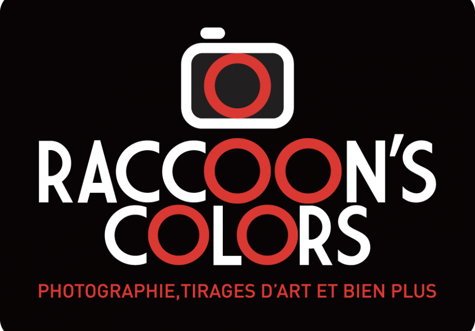 Création Logo Raccoon’s Colors
