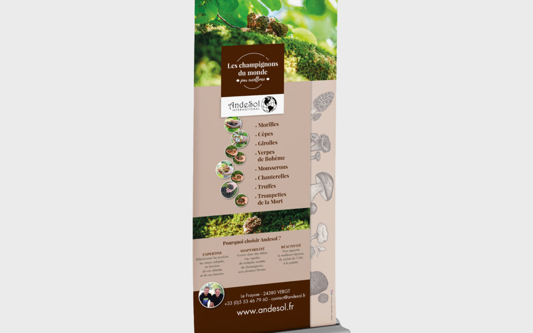 Création Roll up Entreprise Agroalimentaire Andesol