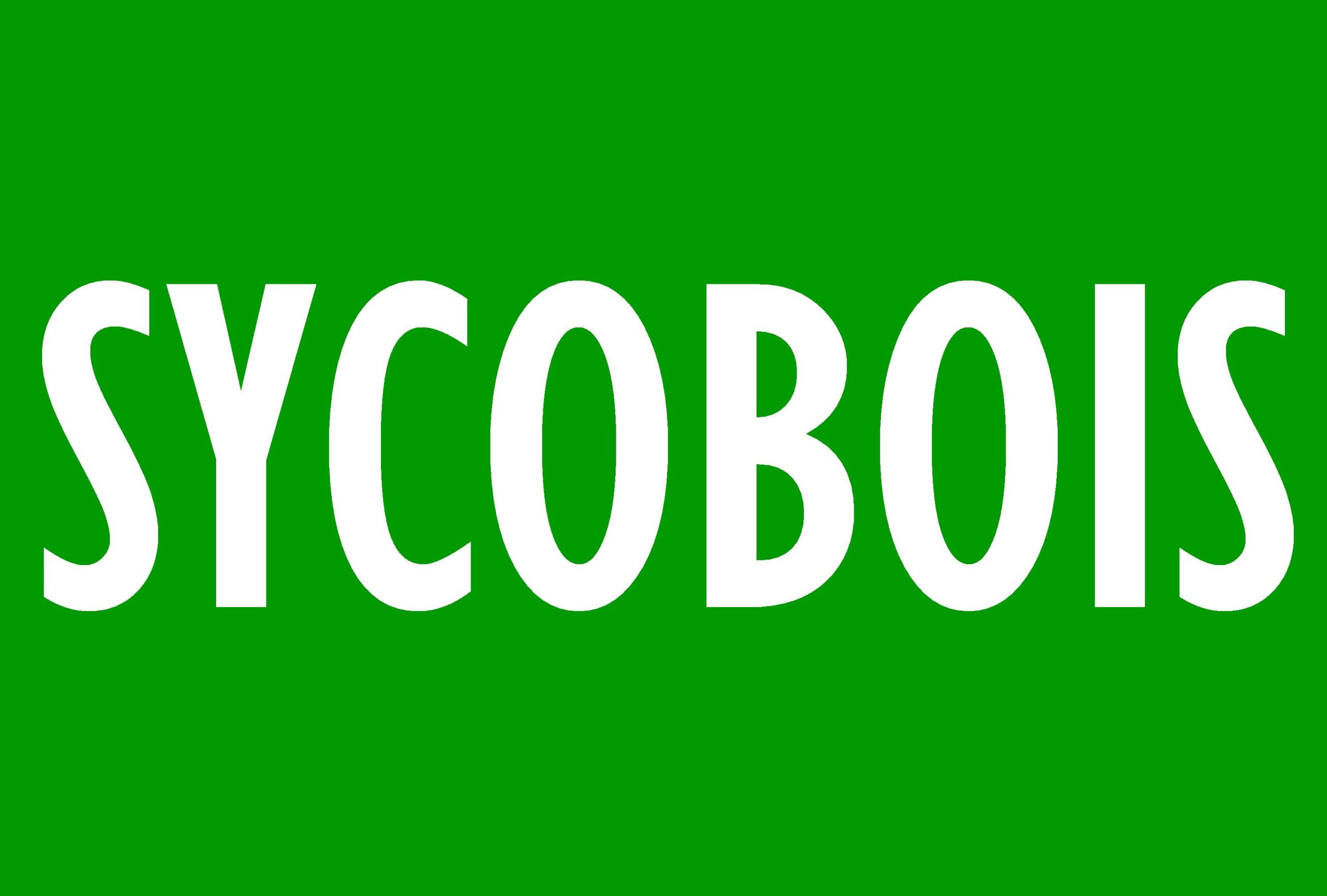 Site internet Sycobois scierie dordogne - Adékoi communication