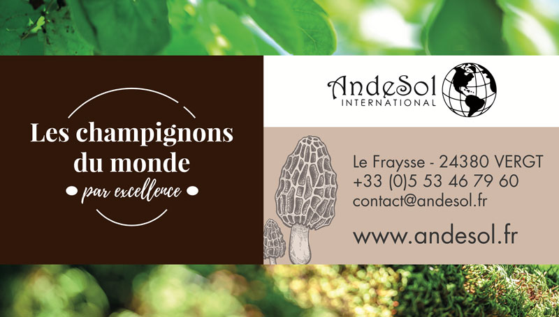 Création habillage véhicule Andesol – Grossiste champignons Dordogne