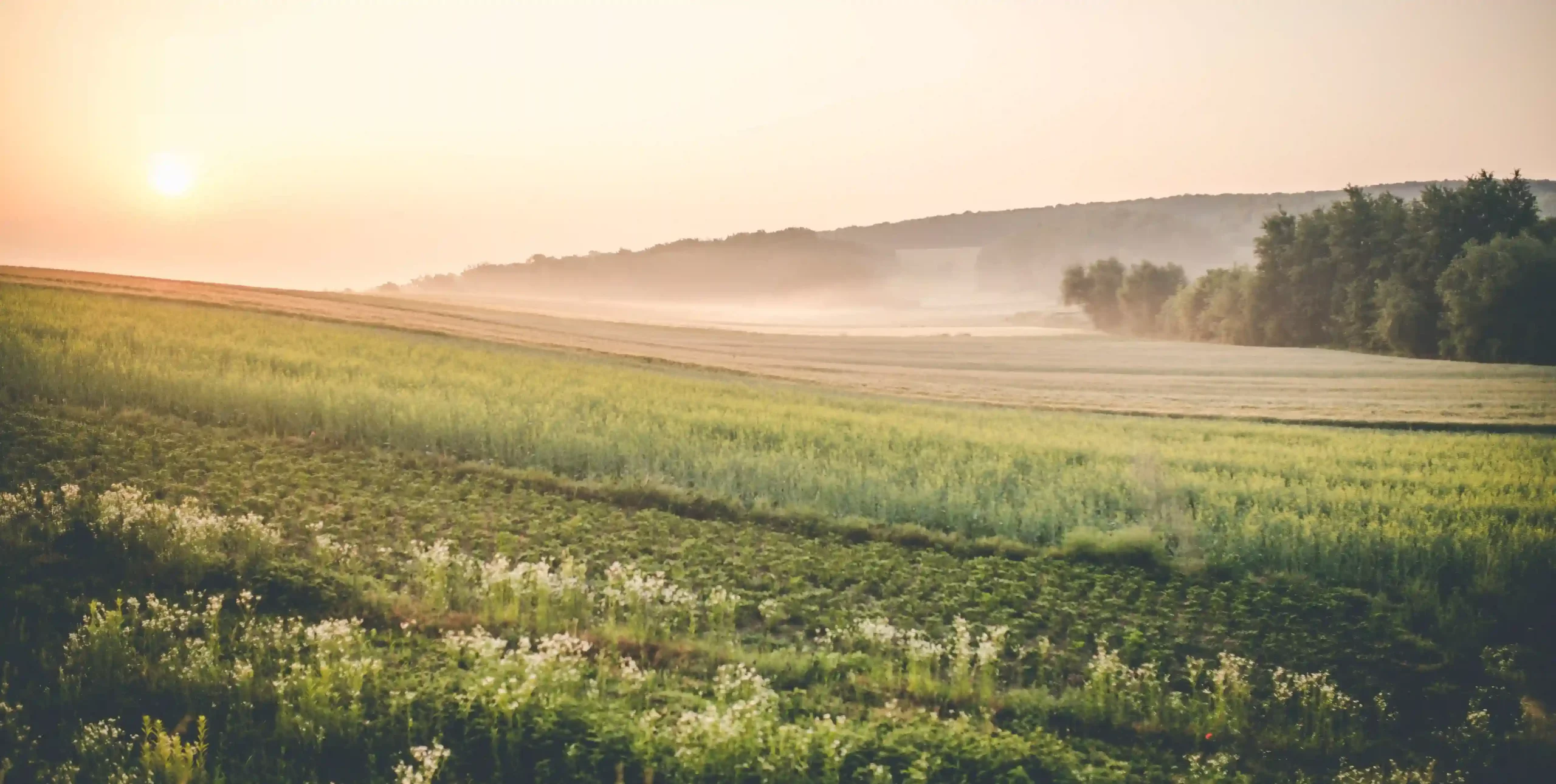 lever de soleil sur terres agricoles Dronne et Belle