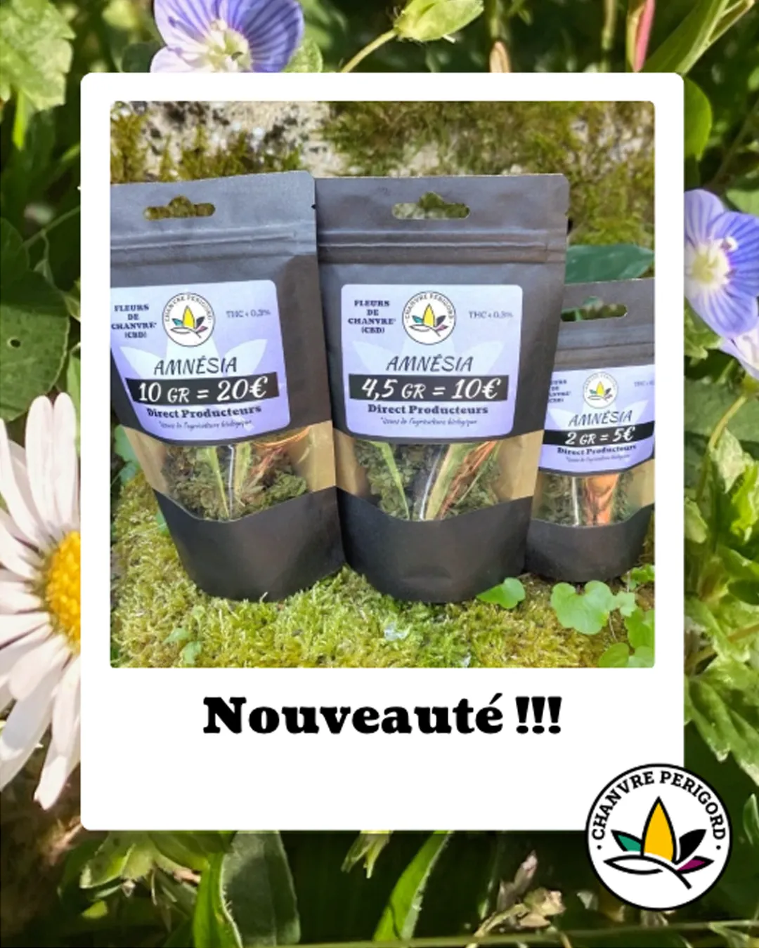 Chanvre Périgord- rs3